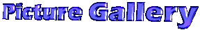 GalleryT.gif (5200 bytes)
